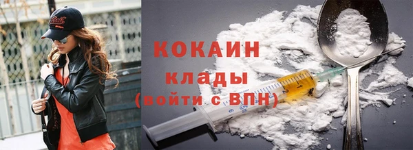 индика Армянск